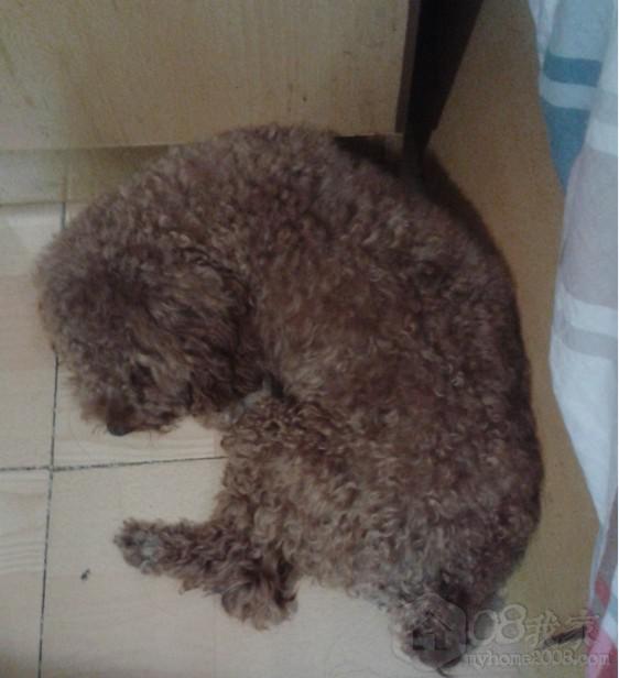 QQͼƬ20130808144931.jpg