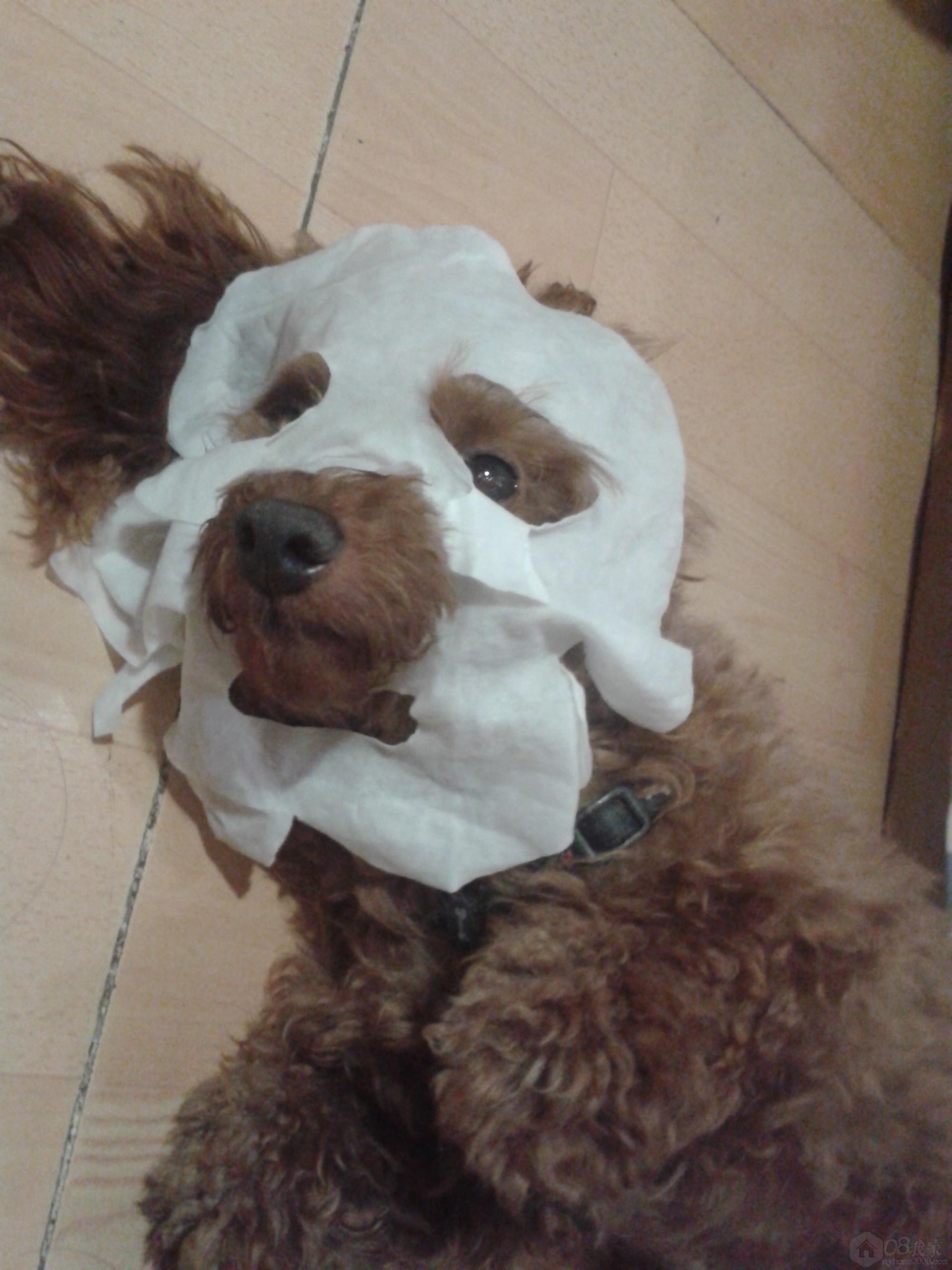 20130812_220209.jpg