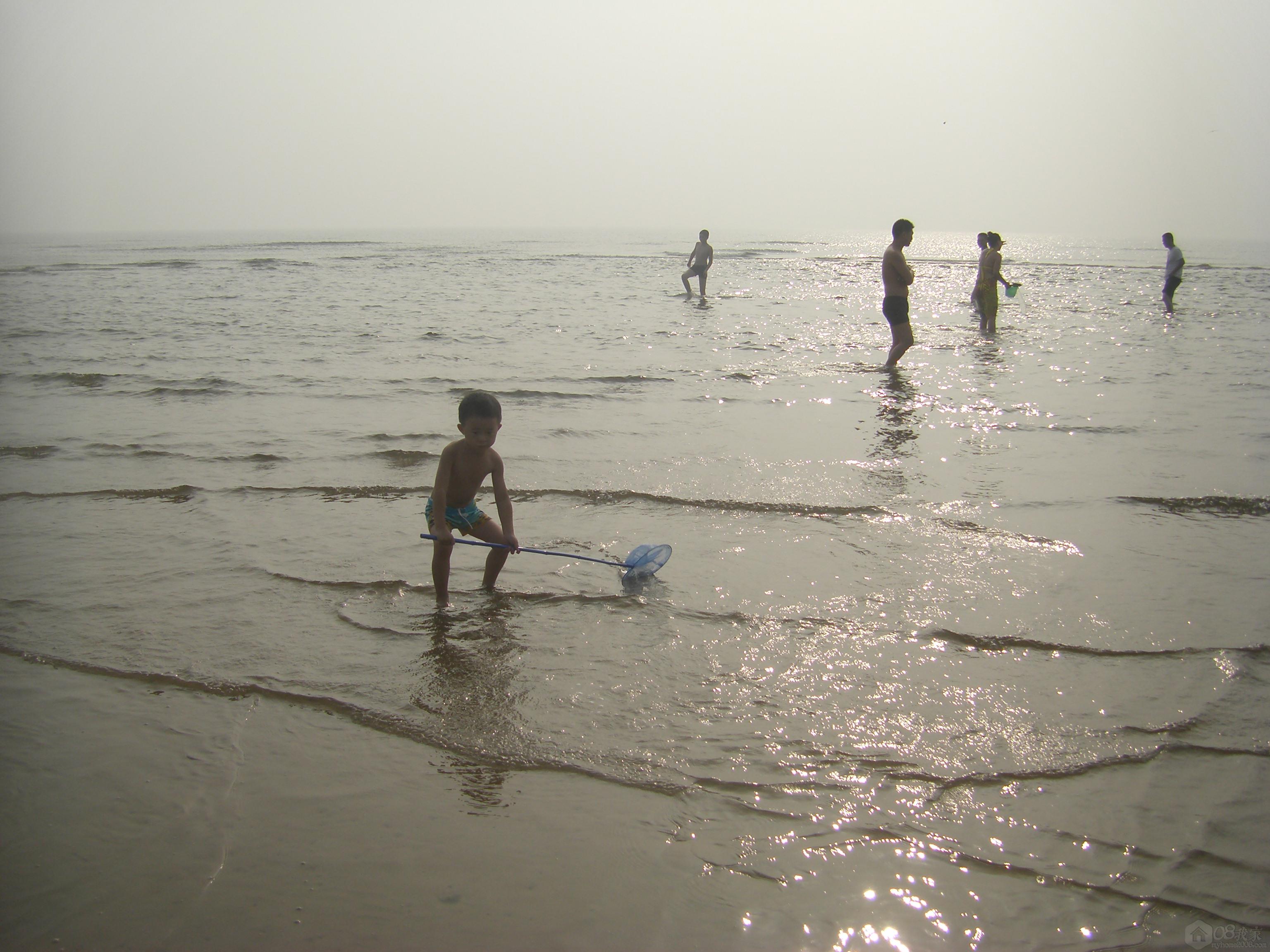 STH72655.JPG