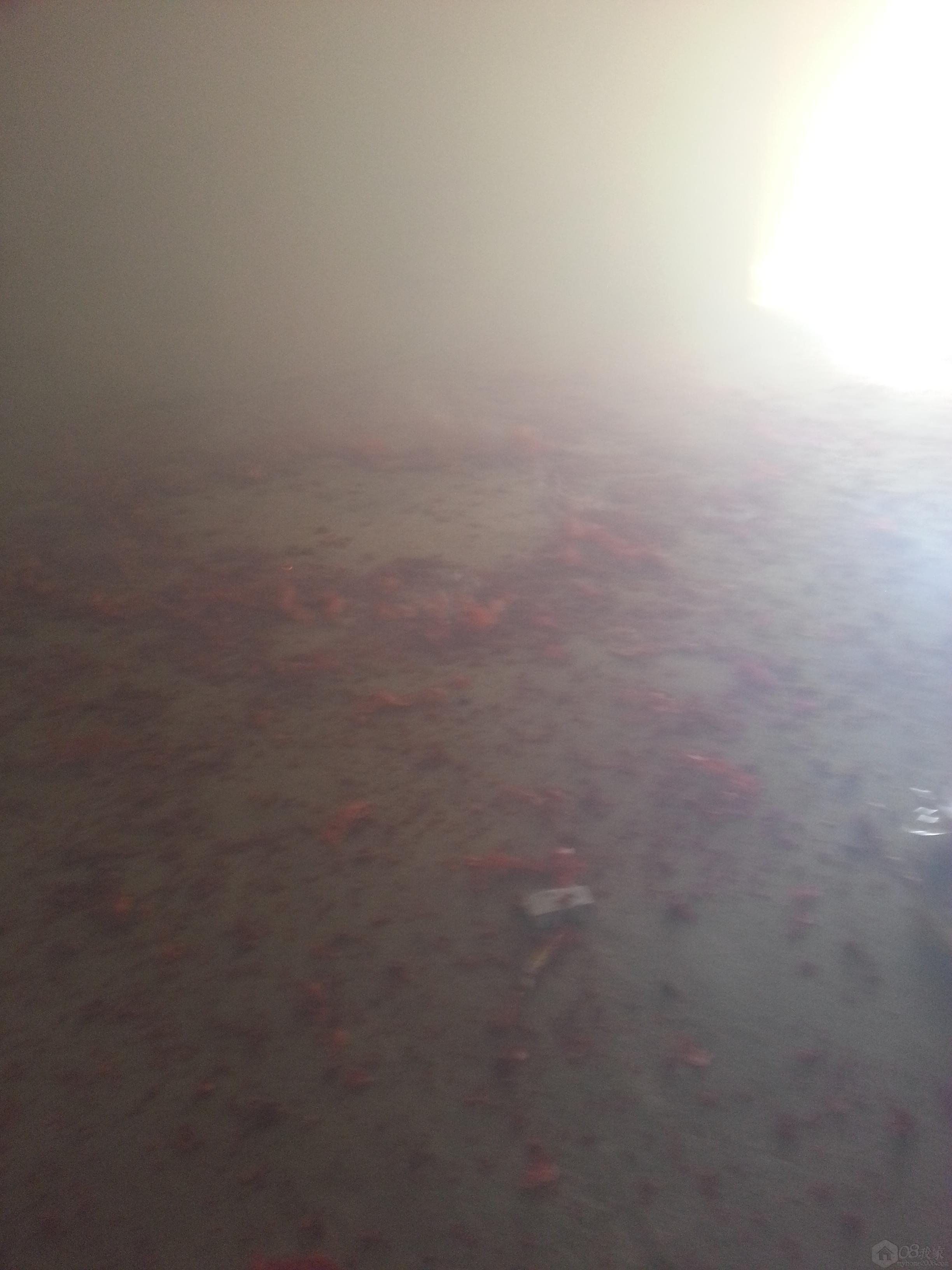 20130731_113006.jpg