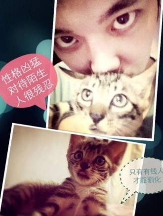 QQ截图20130820133012.jpg QQ截图20130820133012.jpg