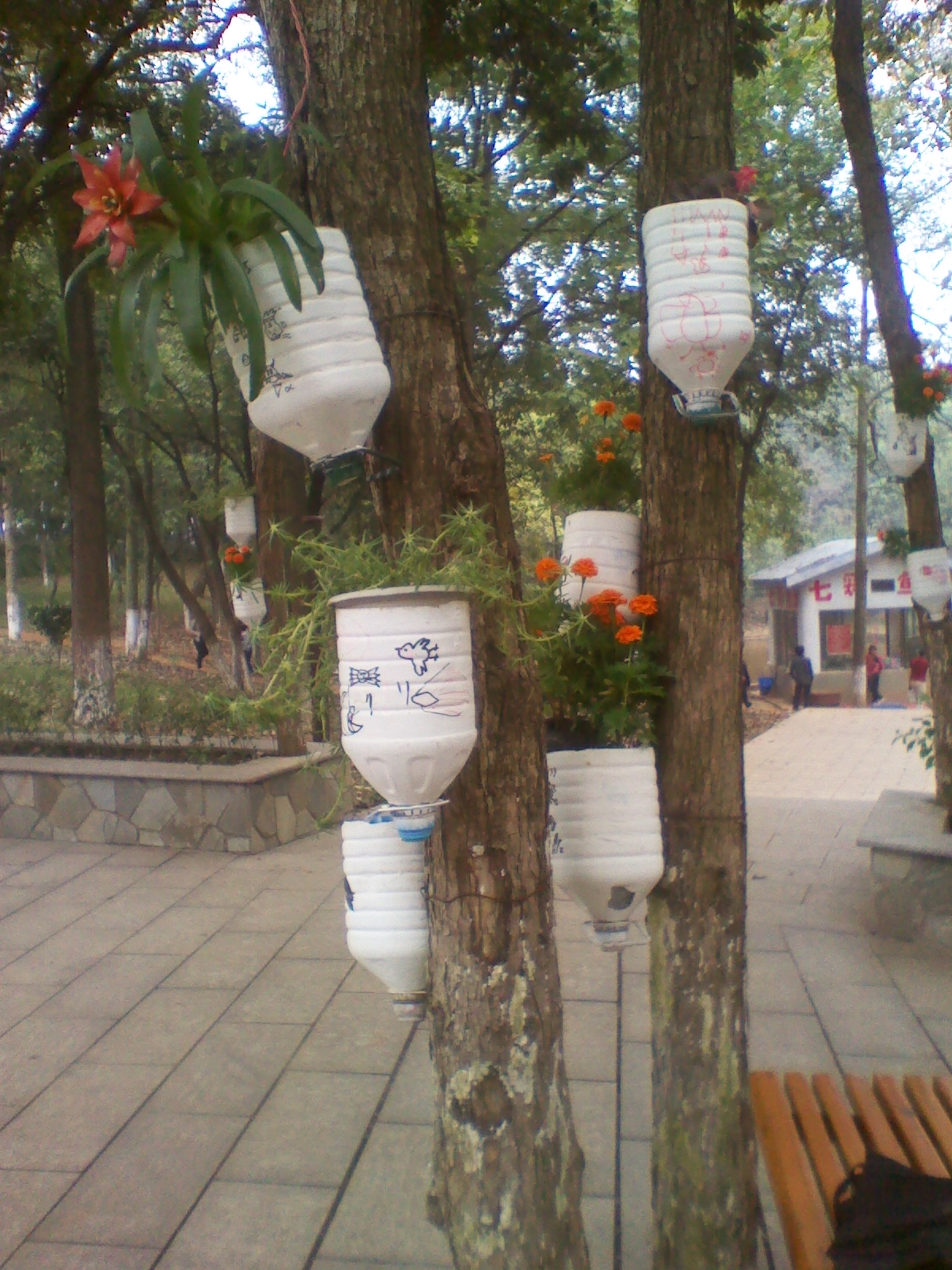 IMG_20121004_110452.jpg