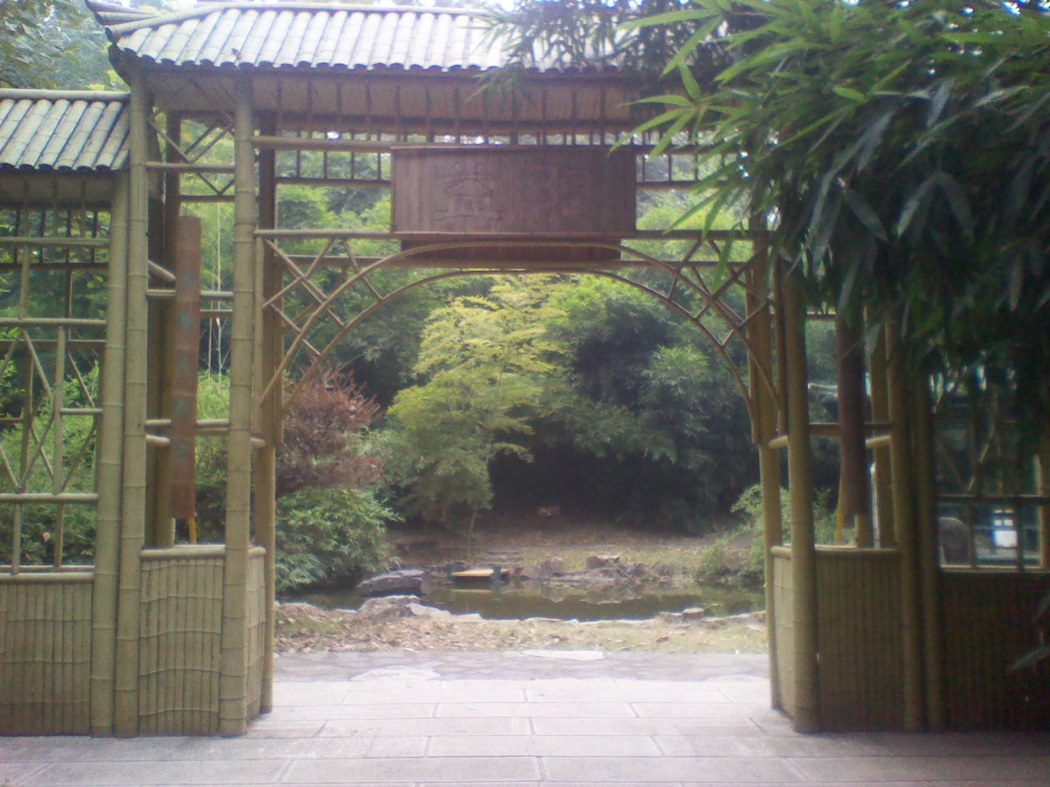 IMG_20121004_101509.jpg