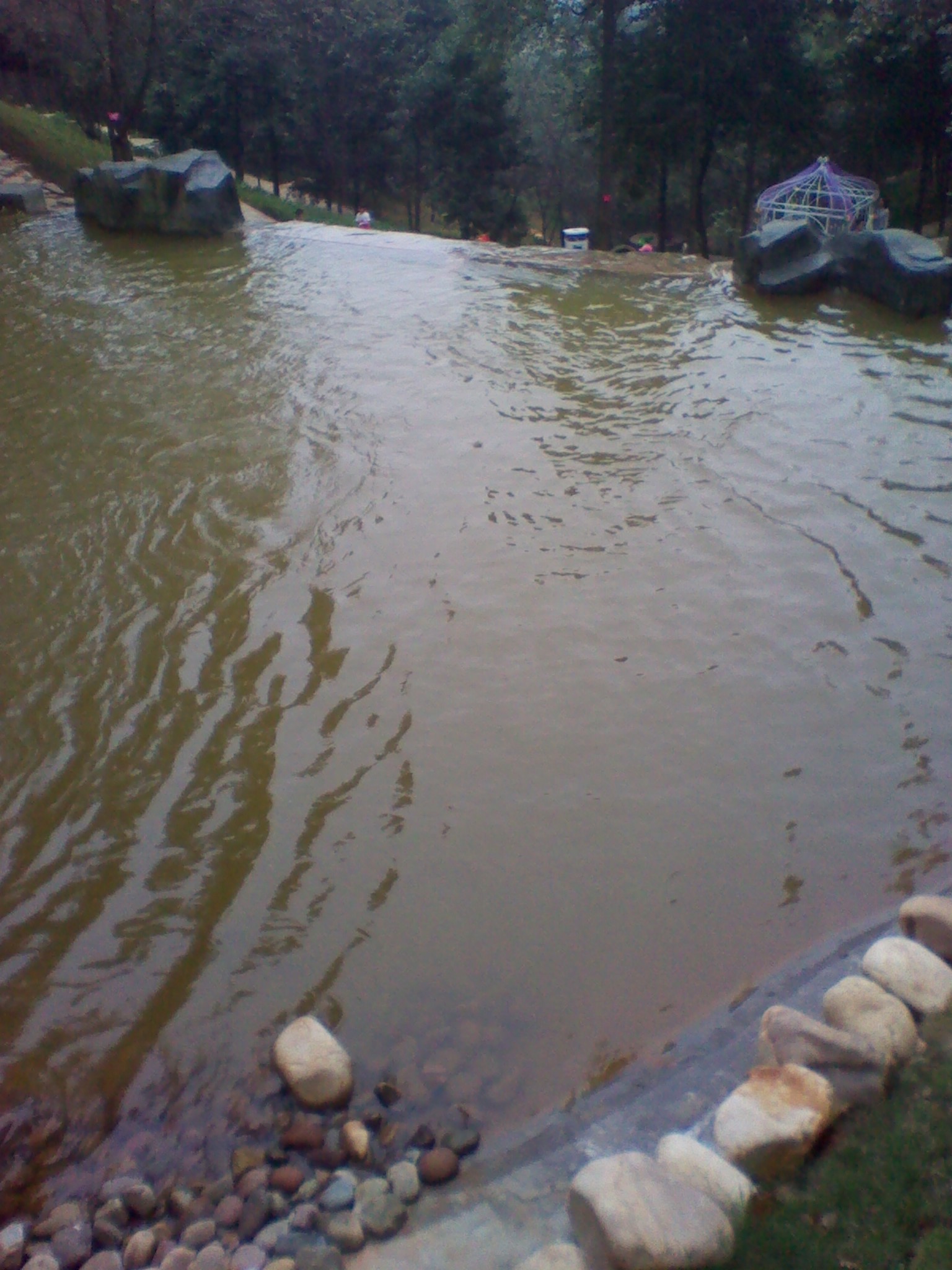 IMG_20121004_113748.jpg