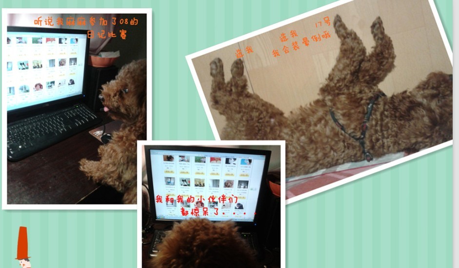 QQͼƬ20130807172430.jpg
