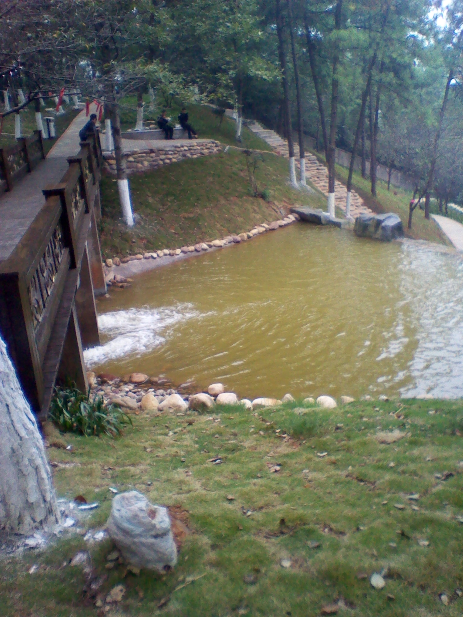 IMG_20121004_113729.jpg