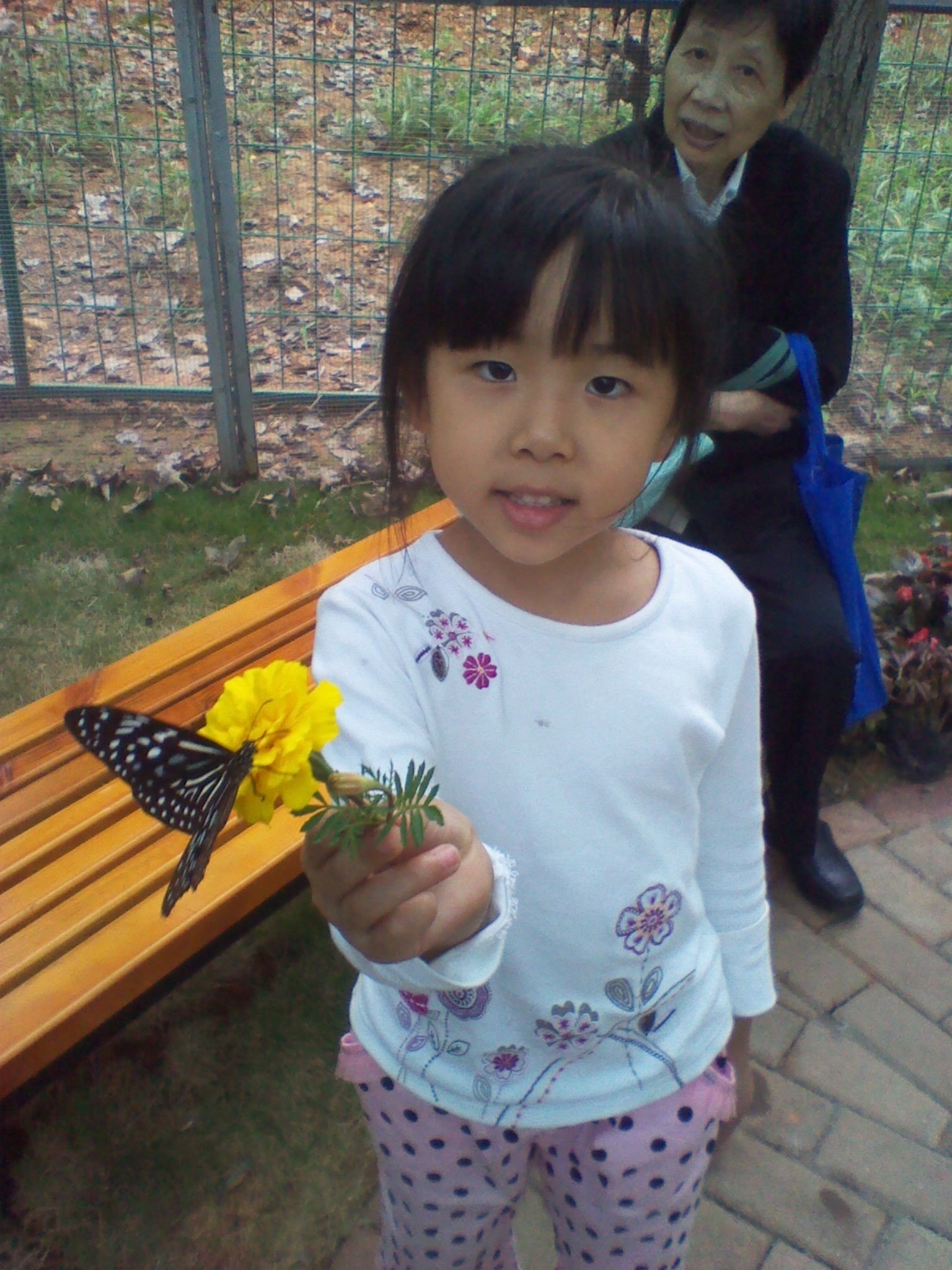 IMG_20121004_111833.jpg
