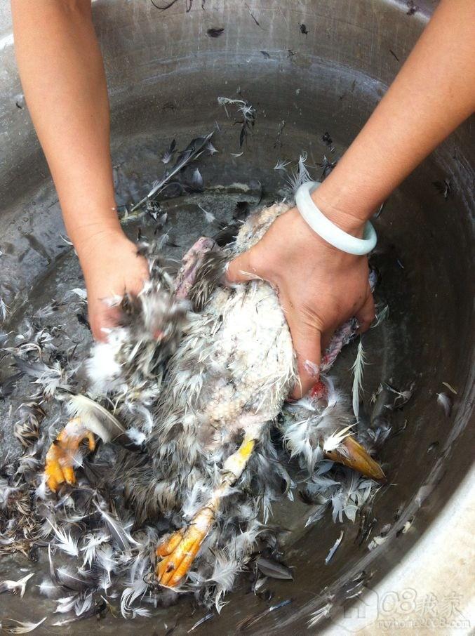 QQ图片20130922152217.jpg QQ图片20130922152217.jpg