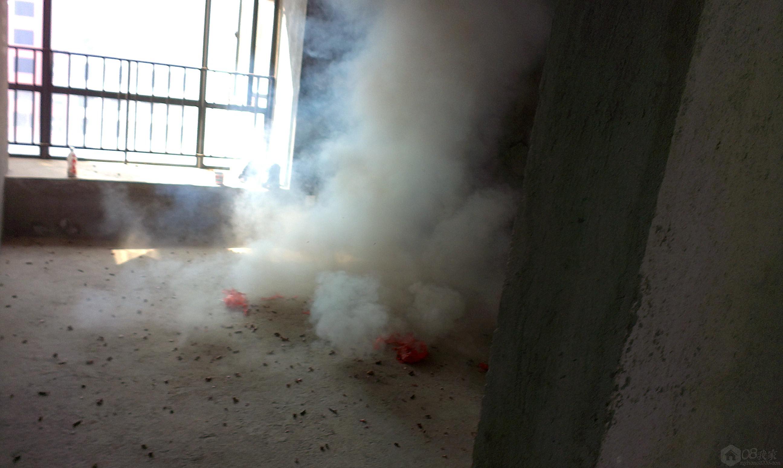 IMAG0204.jpg