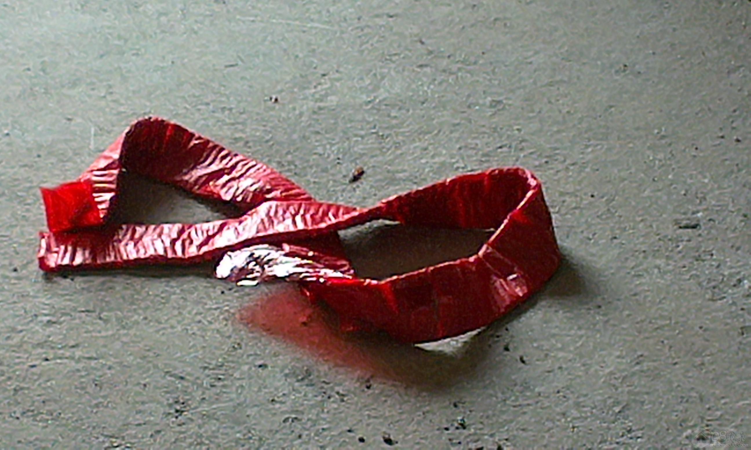 IMAG0201.jpg
