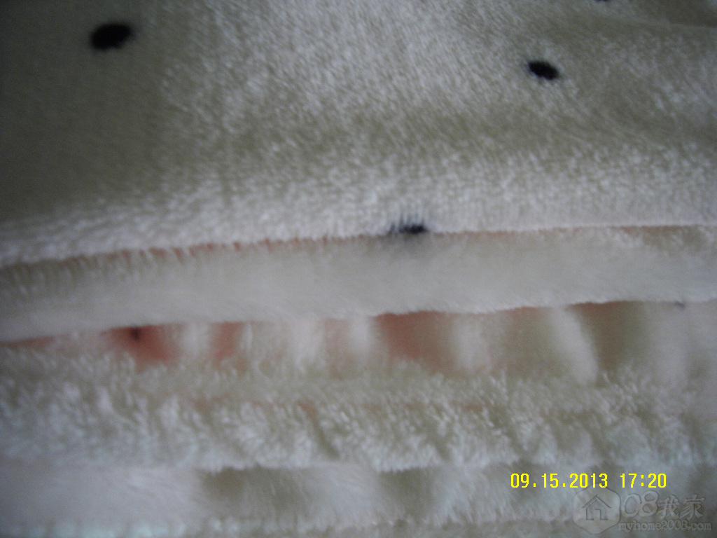SDC10434.JPG