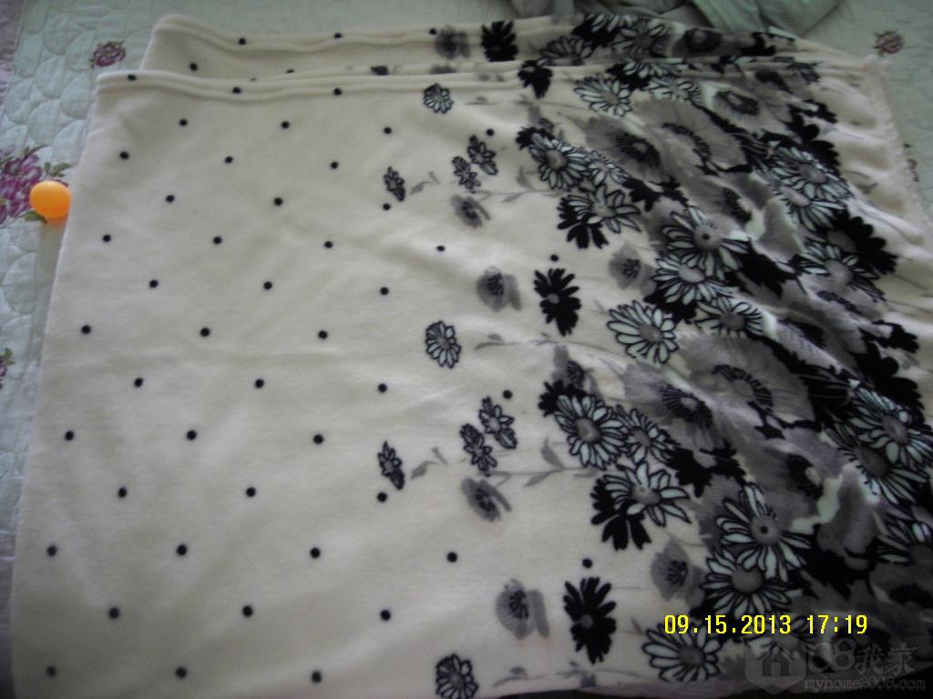 SDC10431.JPG