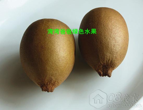 T2MozPXexbXXXXXXXX_!!13476943.jpg