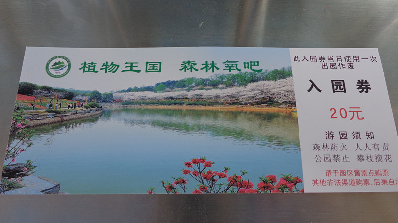 DSC00045_.jpg