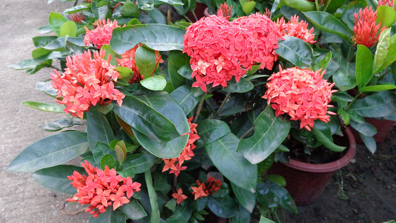 DSC00134_.jpg