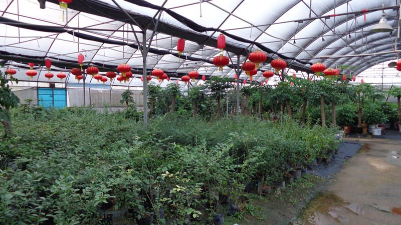 DSC00116_.jpg