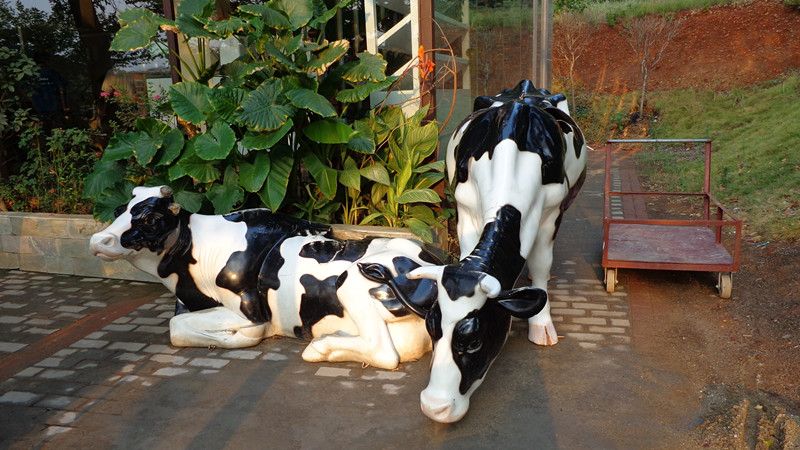 DSC00088_.jpg
