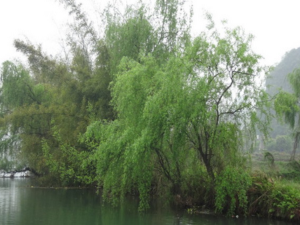 QQͼ20130920124703.png