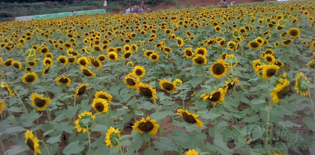 QQͼ20130923165546.png
