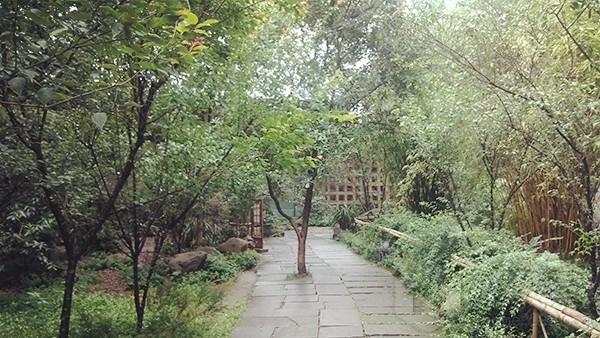 IMG_20130620_142103.jpg