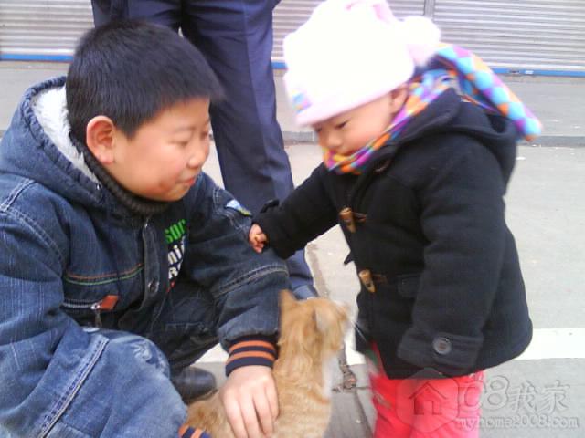 DSC00063.JPG