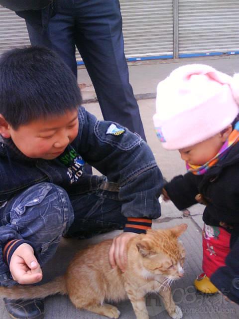 DSC00194.JPG