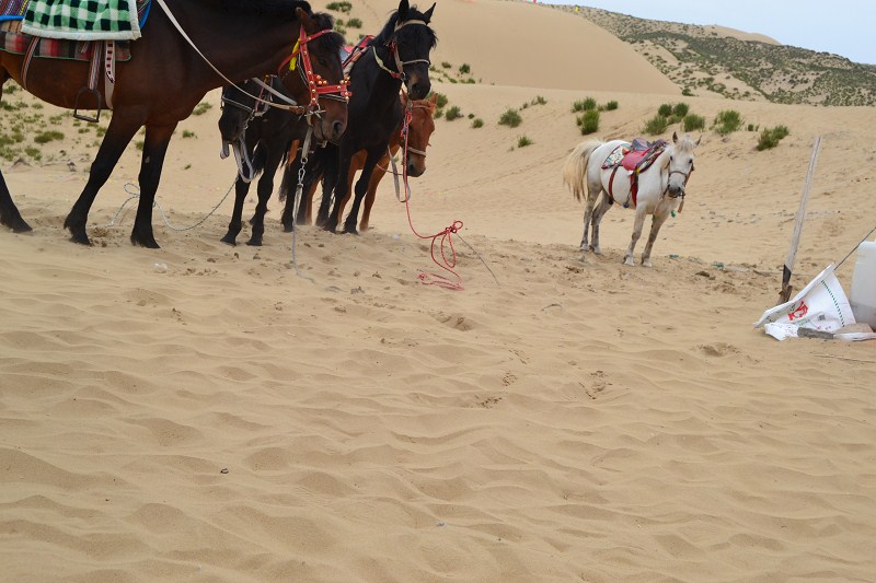 psb (1).jpg psb (1).jpg