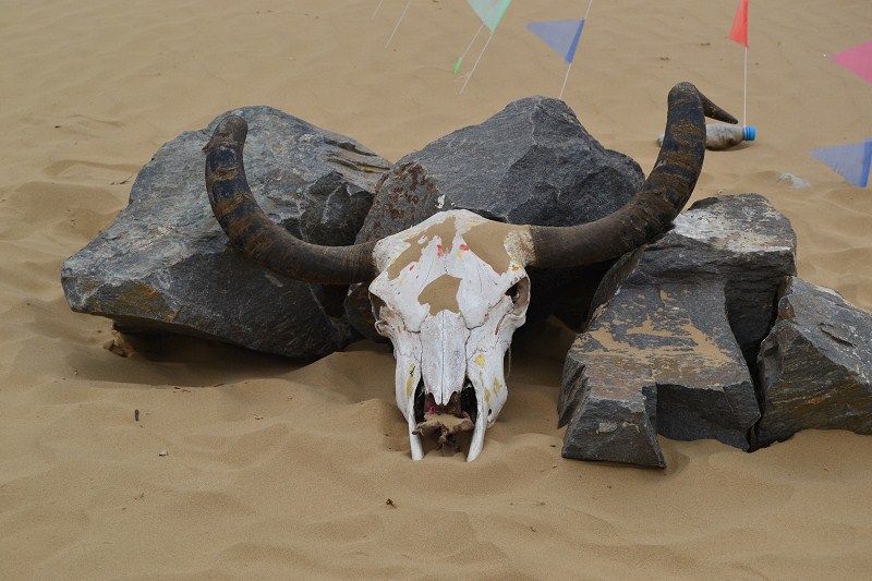 psb (2).jpg psb (2).jpg