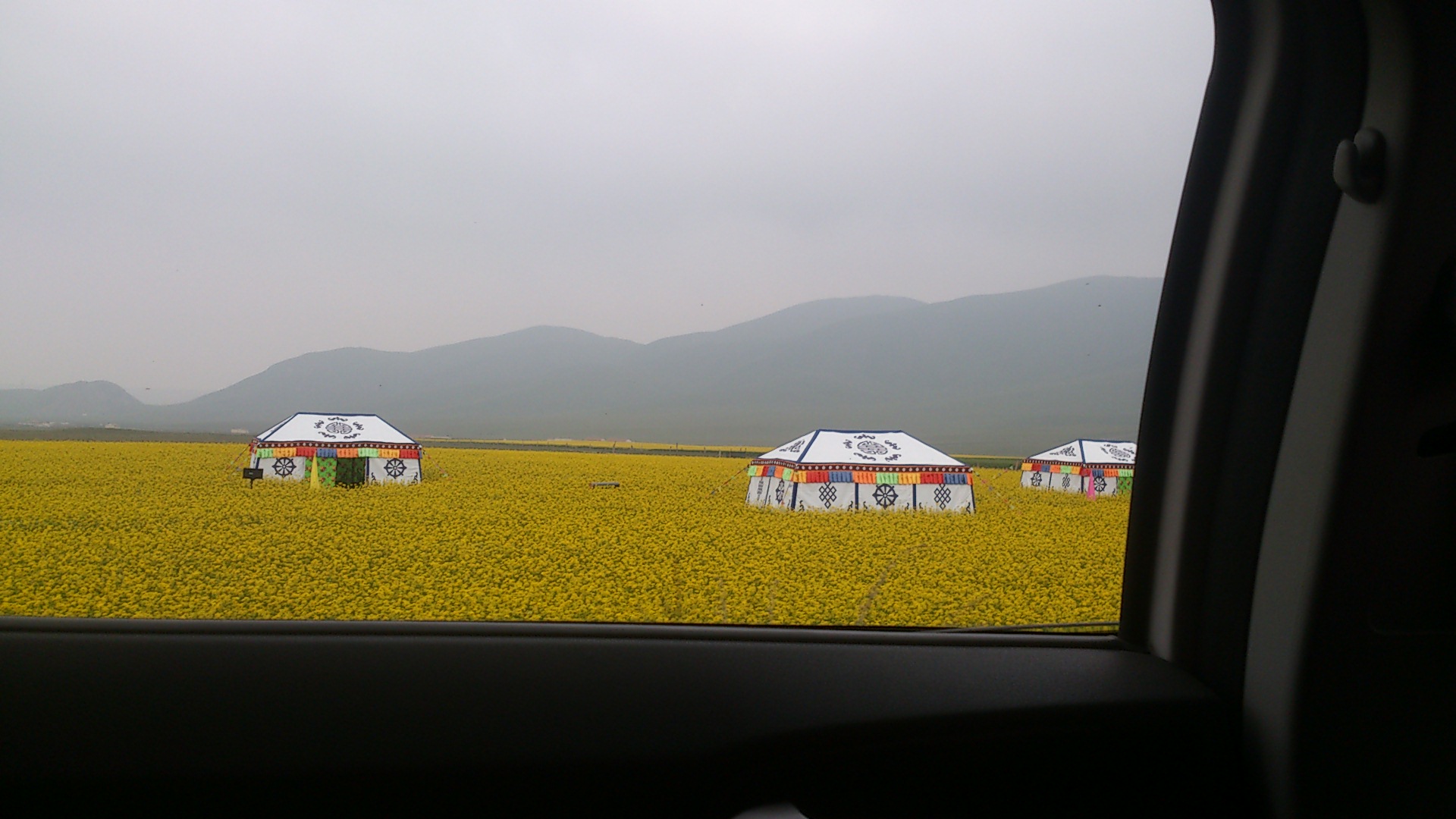 DSC_3193.jpg DSC_3193.jpg