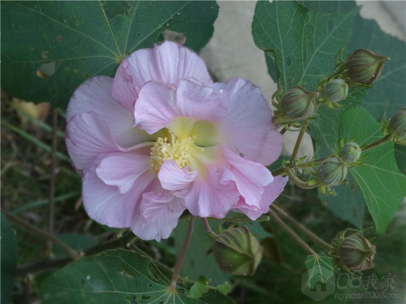 DSC04285.JPG