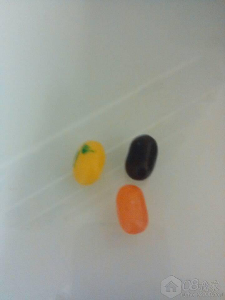 子虫1.jpg 子虫1.jpg