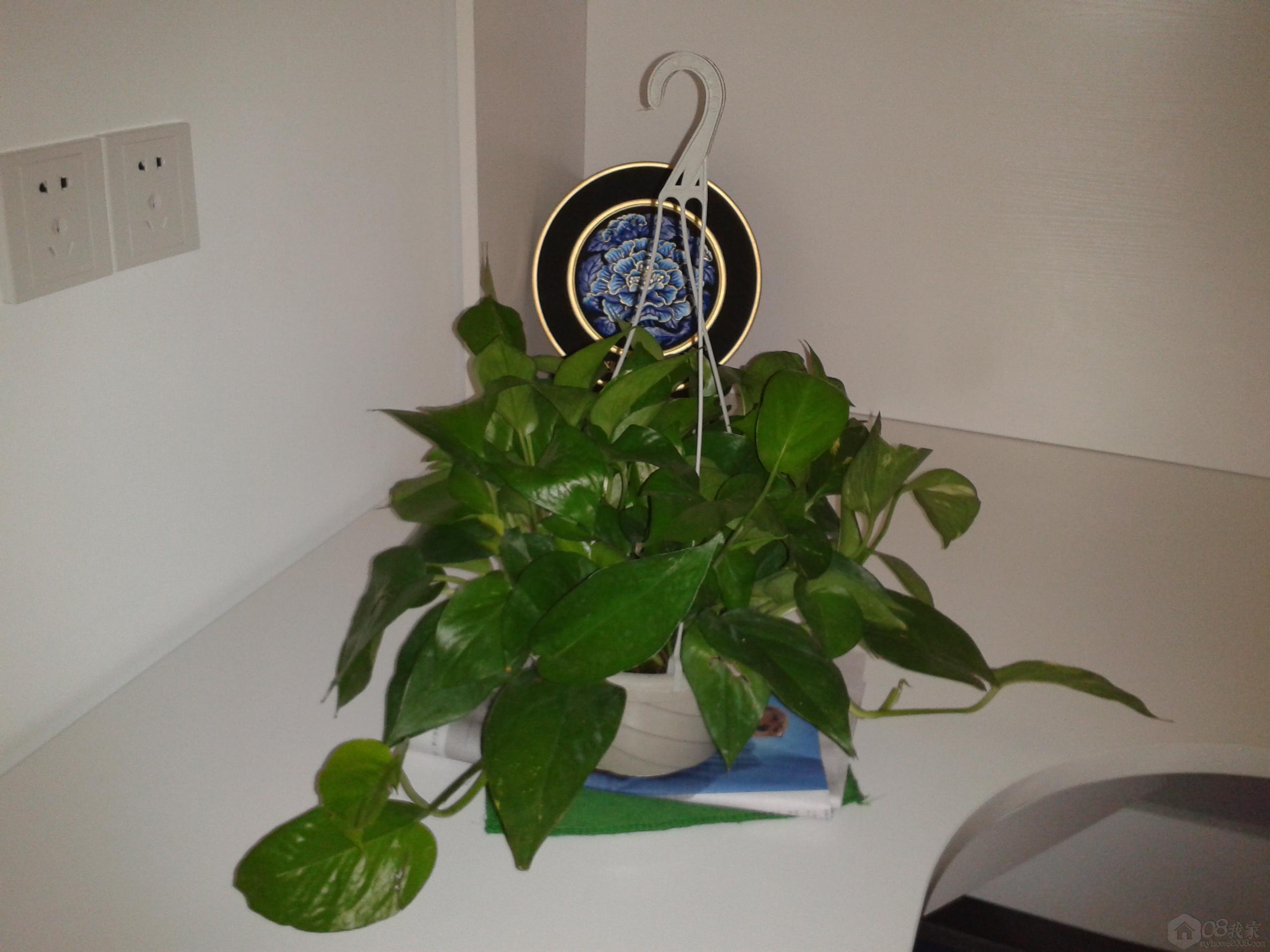 2013-10-20 12.03.30.jpg