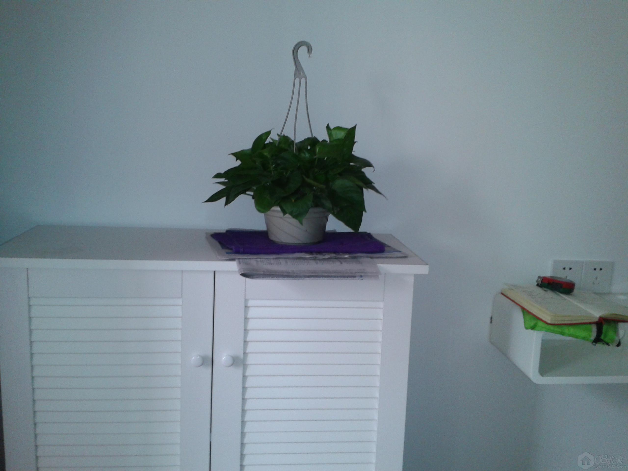2013-10-20 12.02.50.jpg