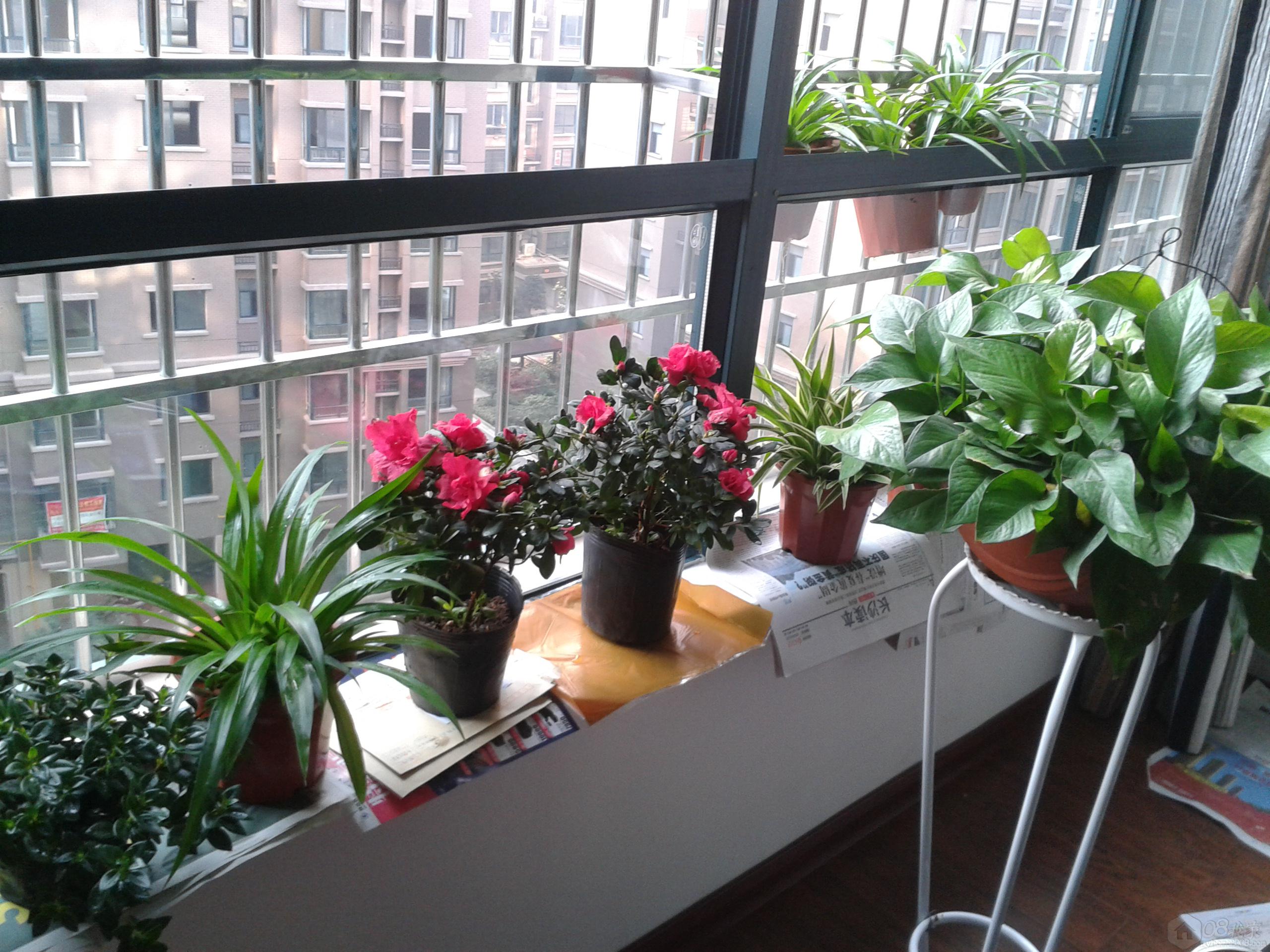 2013-10-27 08.48.11.jpg
