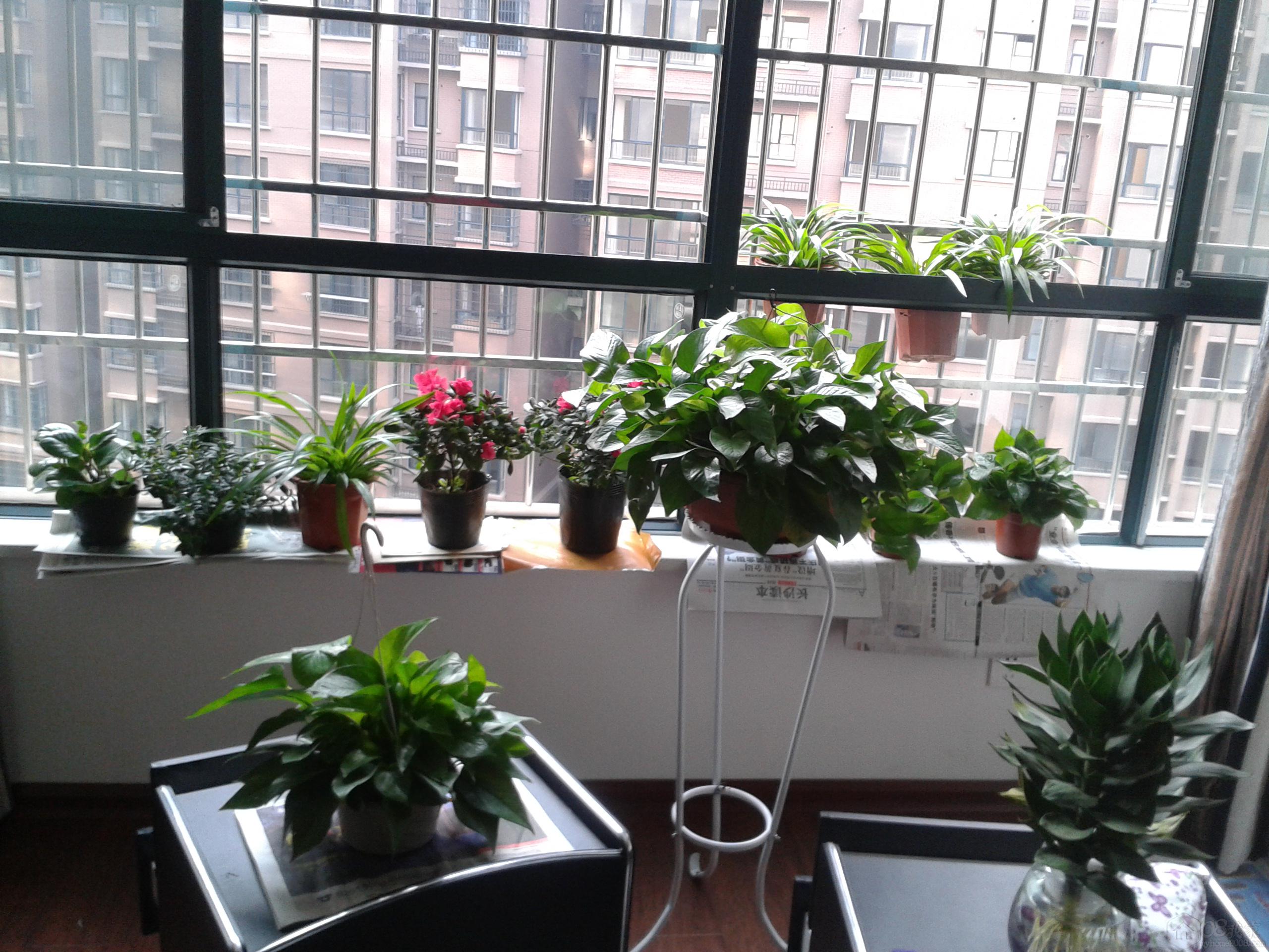 2013-10-27 08.47.59.jpg