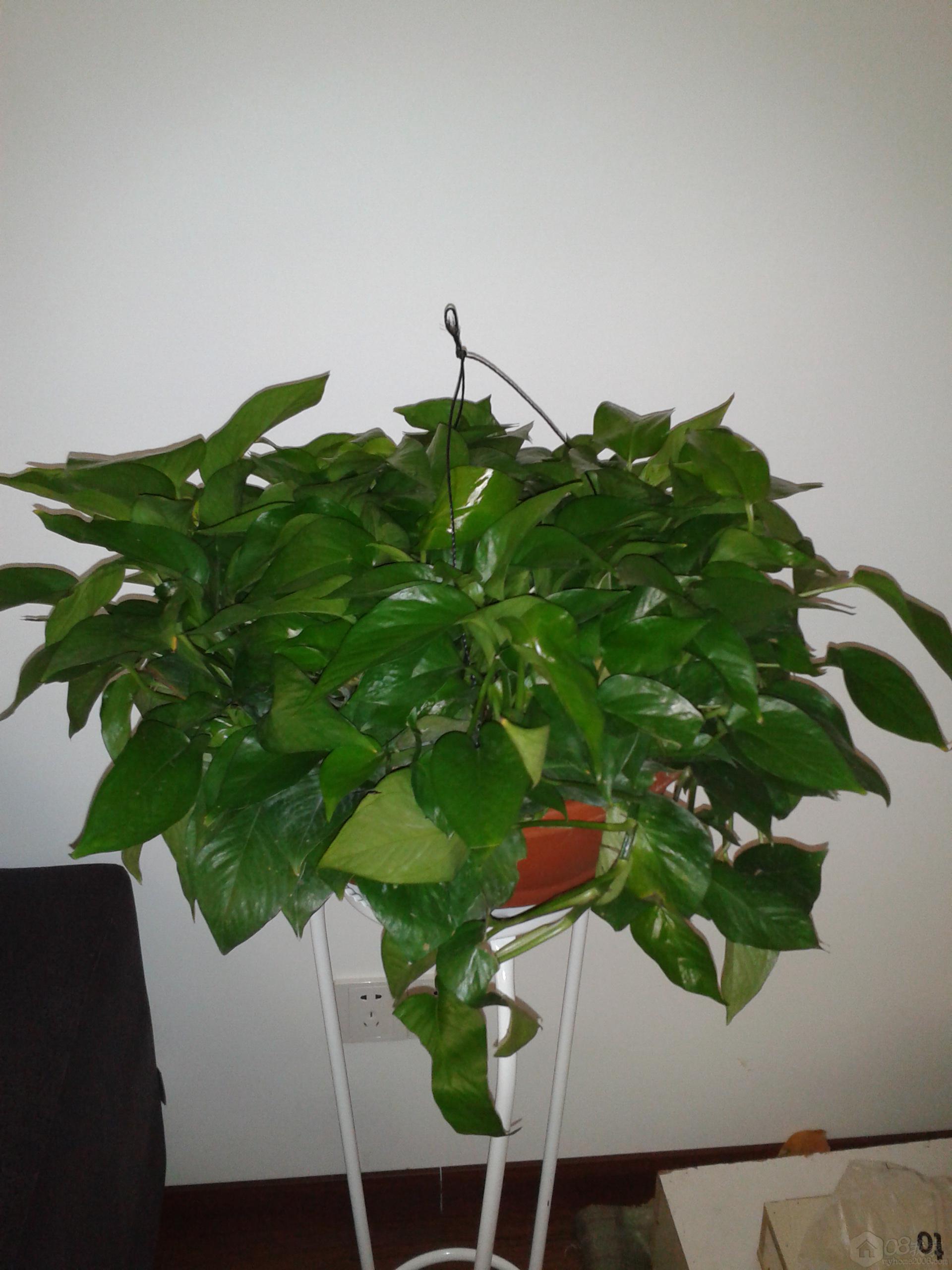 2013-10-20 12.07.14.jpg