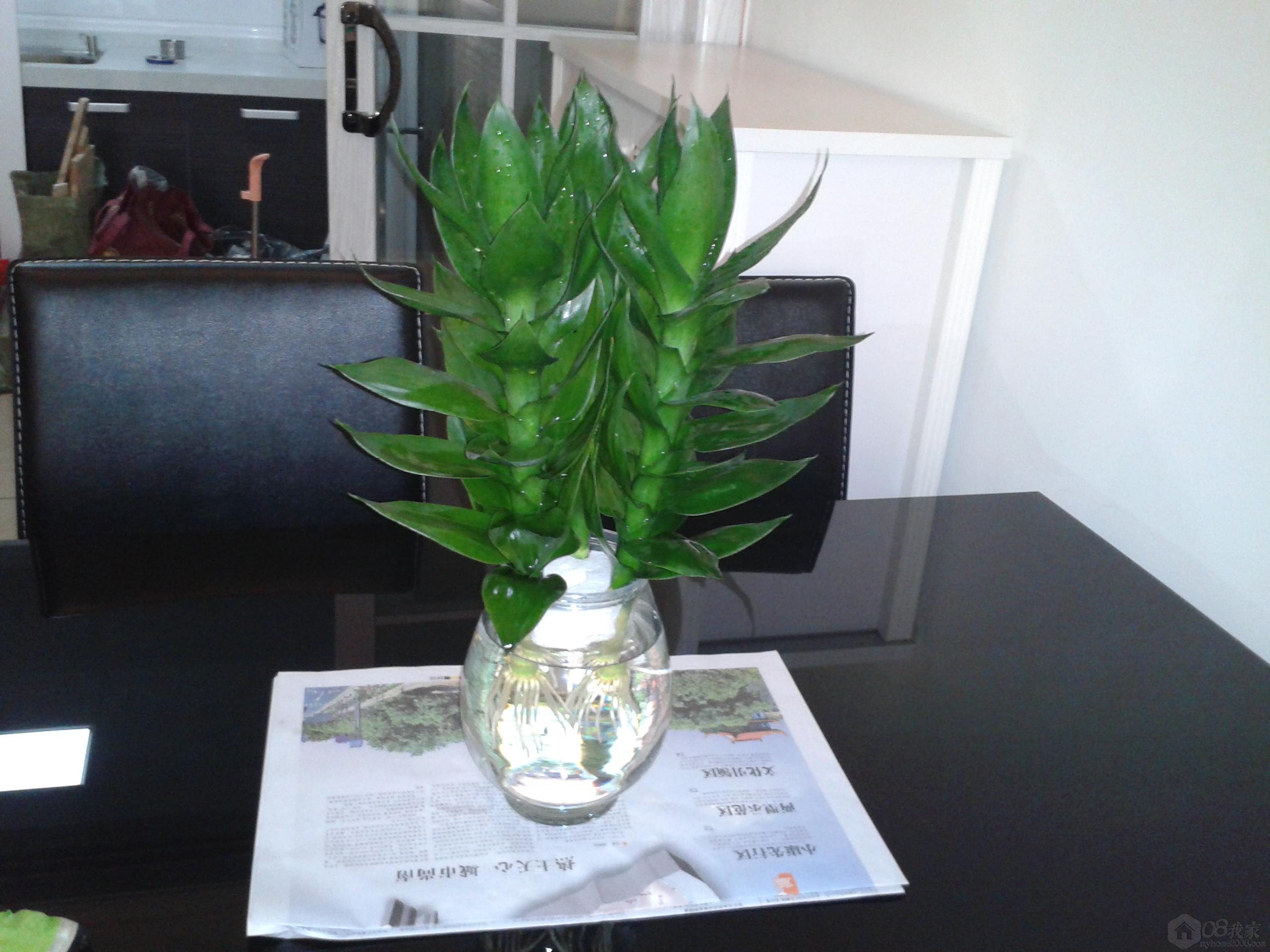 2013-10-20 12.05.45.jpg