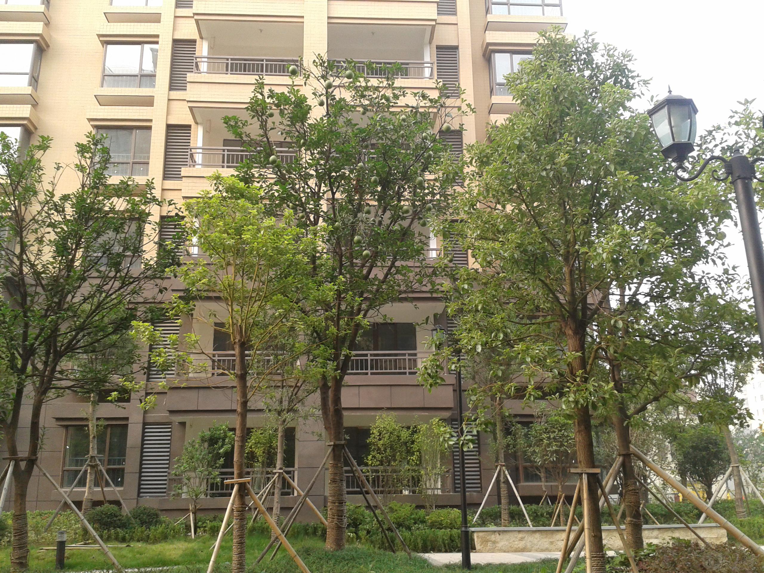 2013-10-21 16.01.39.jpg