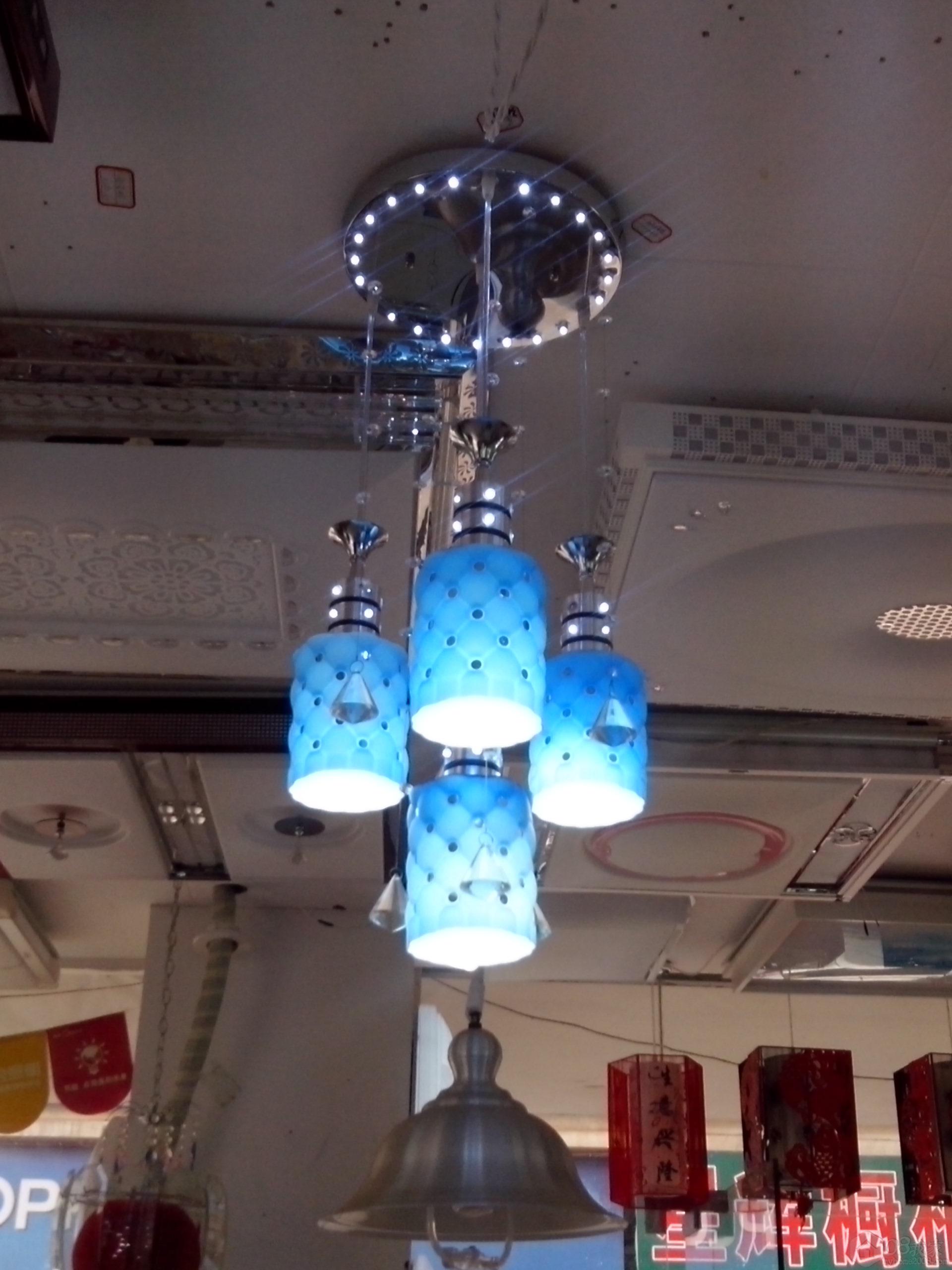 IMG_20130819_104456.jpg