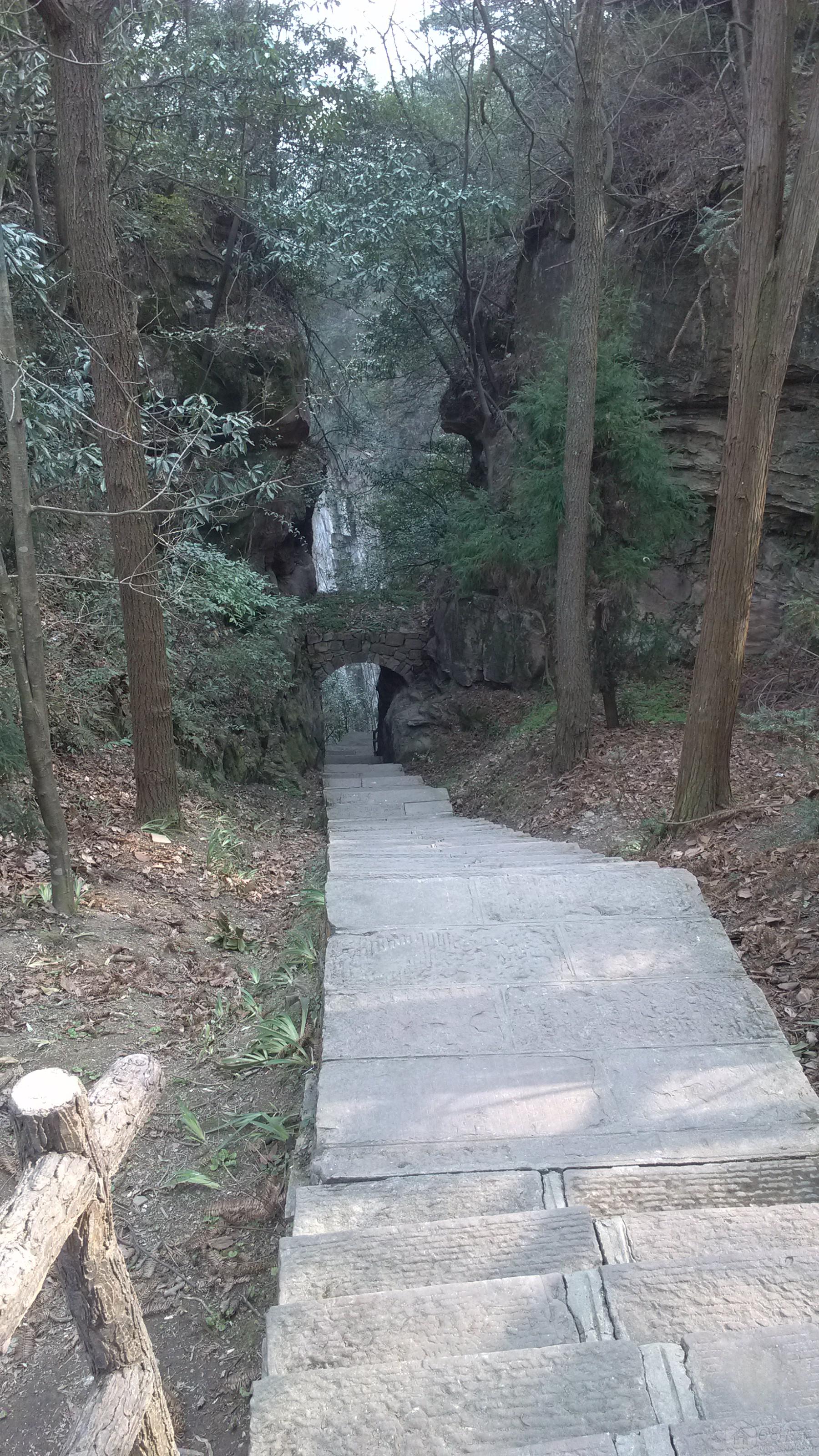 IMG_20130310_093501.jpg