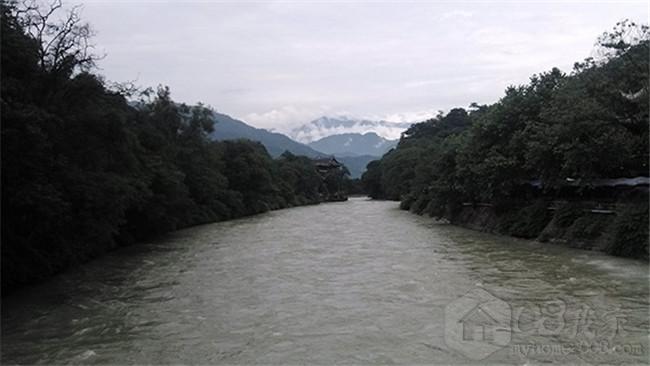 IMG_20130623_113309.jpg