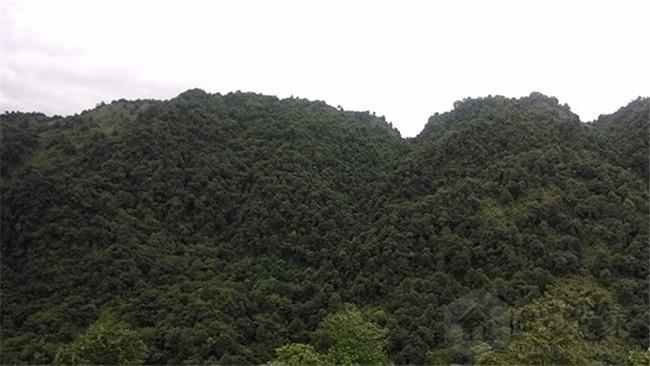 IMG_20130622_171959.jpg
