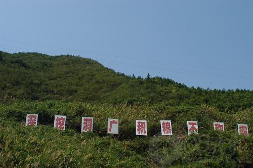 DSC_0095.jpg