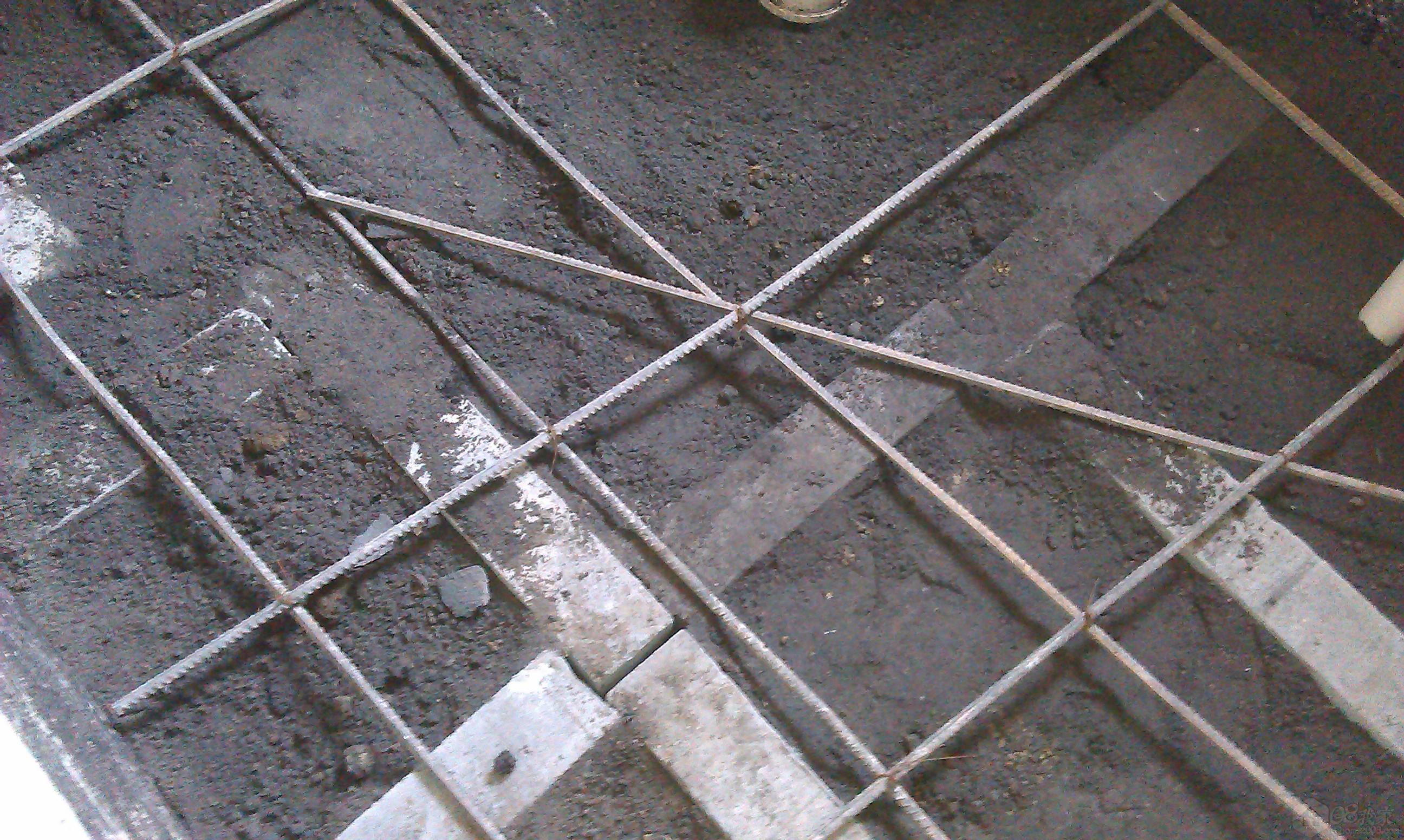 IMAG0594.jpg
