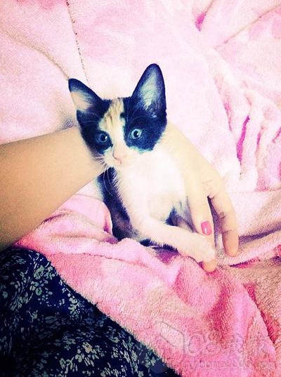 IMG_8198_副本.jpg IMG_8198_副本.jpg