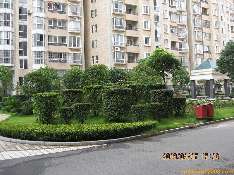 Ƭ 012.JPG