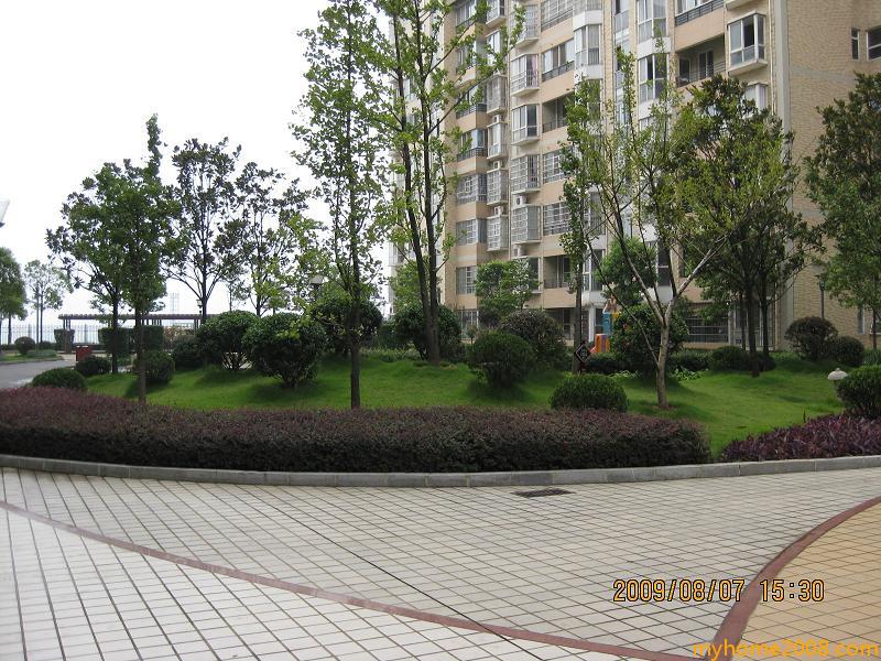 Ƭ 013.JPG