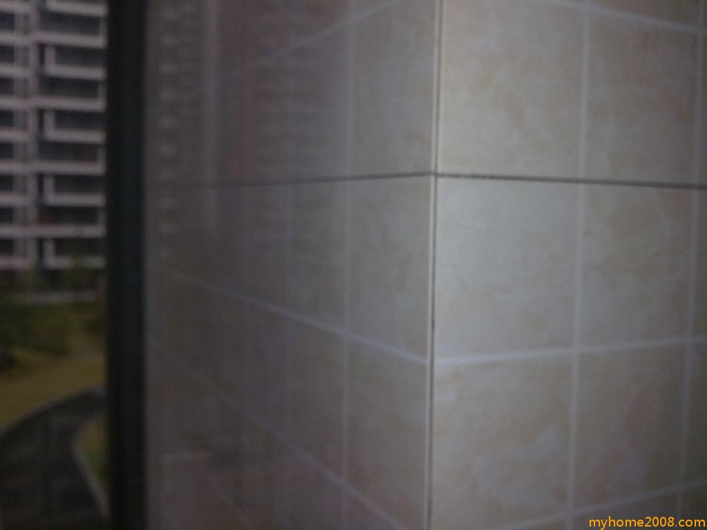 20091115273.jpg