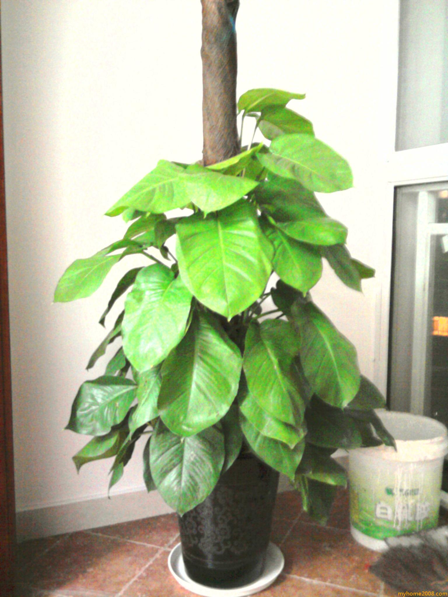 Ƭ0208.jpg