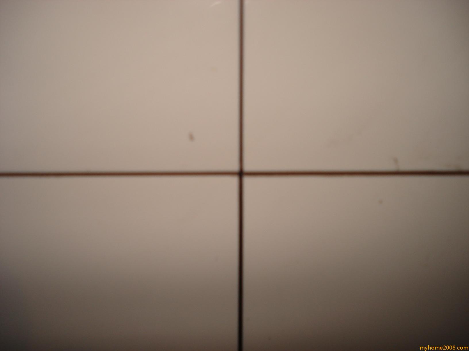 DSC05046.JPG